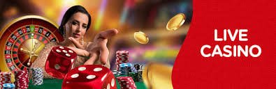 happympologin FAQ Details Before Opening Accounts